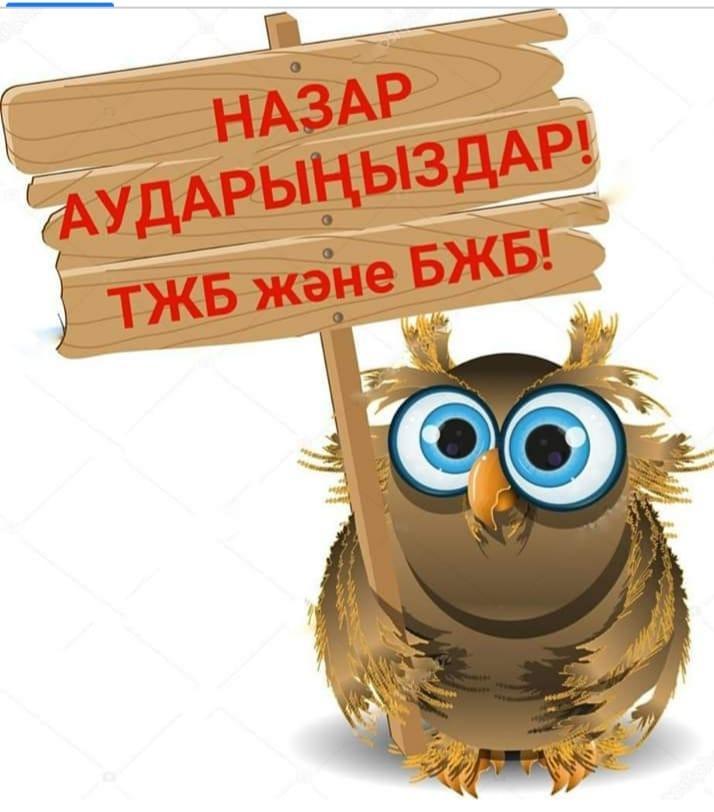 Қашықтан оқу кезіндегі БЖБ және ТЖБ өткізу шарттары